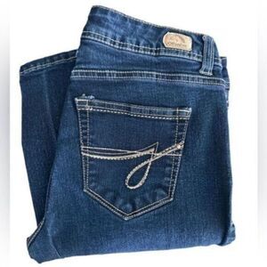 EUC - JORDACHE Women’s Skinny Blue Jeans - Size 4